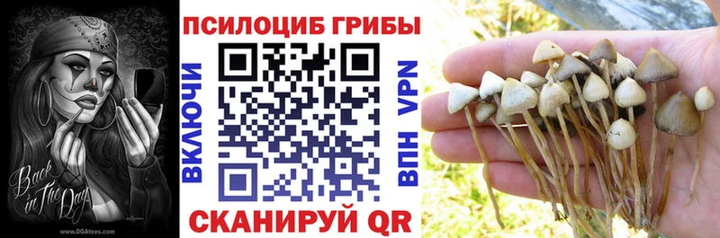 Псилоцибиновые грибы GOLDEN TEACHER  Сергач 